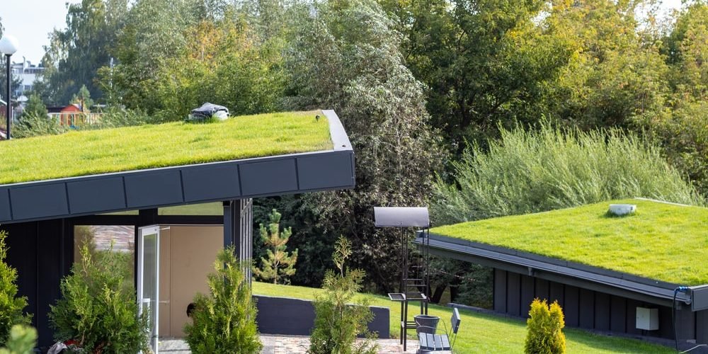 Waarom een groendak niet kan ontbreken bij je nieuwe woning