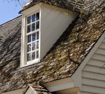 Alles wat je moet weten over een Dakkapel van 3 Meter