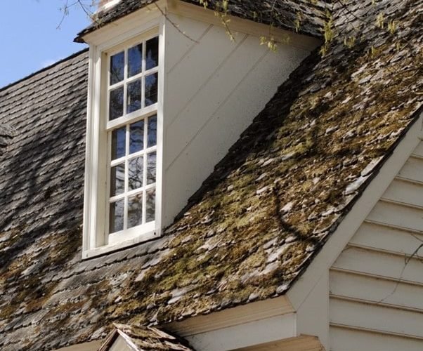 Alles wat je moet weten over een Dakkapel van 3 Meter