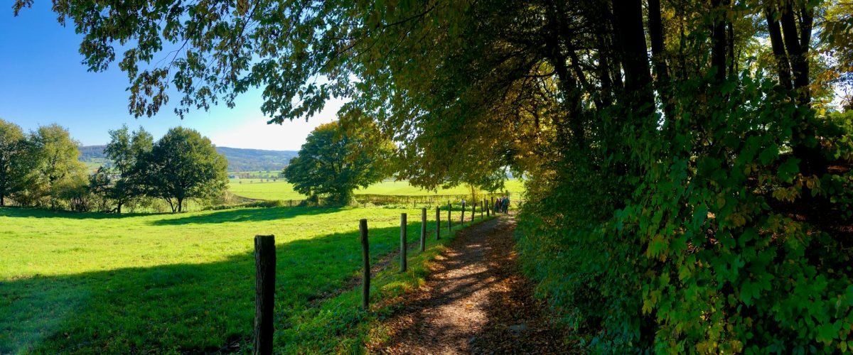 Veiligheidsdiensten in Zuid-Limburg