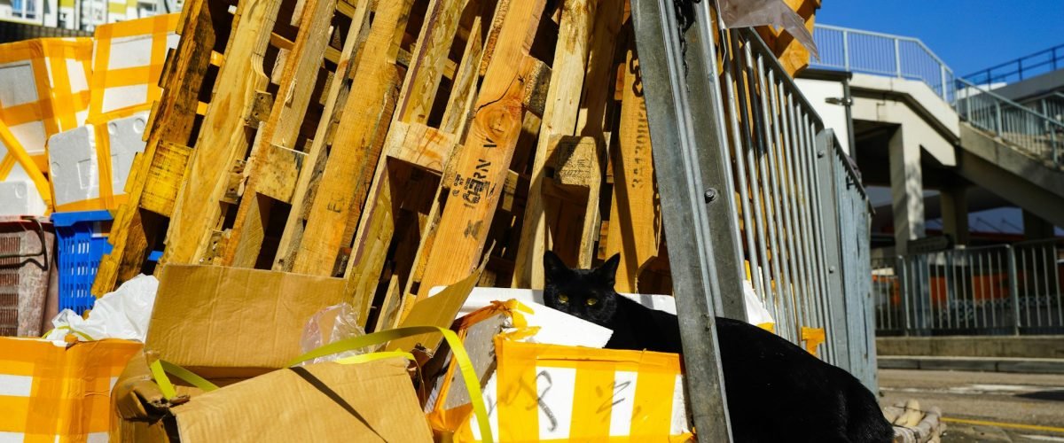 recycling in de bouwsector