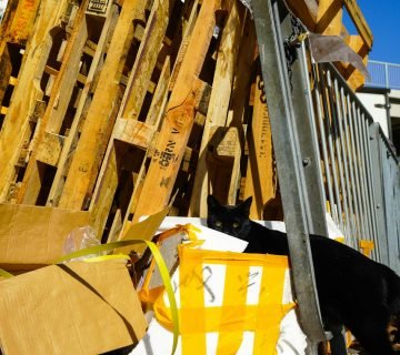 recycling in de bouwsector